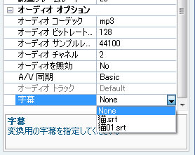 Any Video Converter で字幕を選択