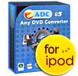 Any DVD Converter Gold