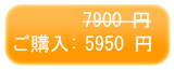 DVD/動画変換+DVDコピーソフトを購入