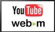 Any Video Converter ProはWebM動画に変換ソフト